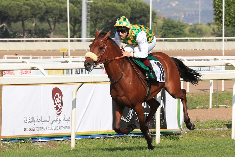 Ziyadd wins Listed Zayed Cup at Capanelle Race Course